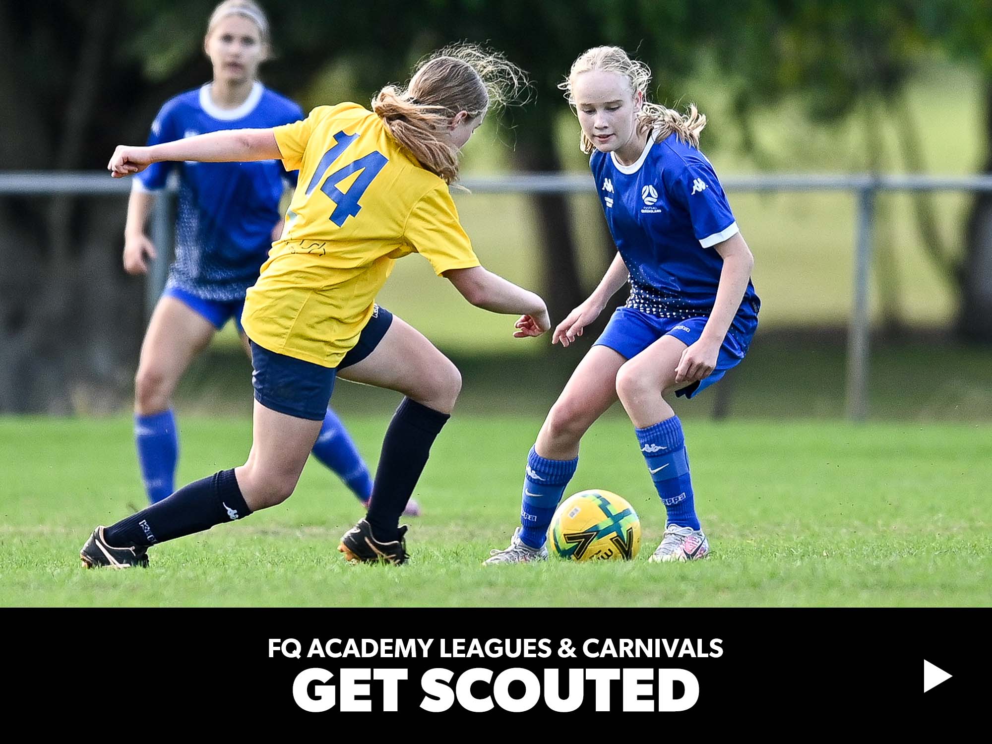 2311004 - Website - Imagery - FQA Pathways - Scouted